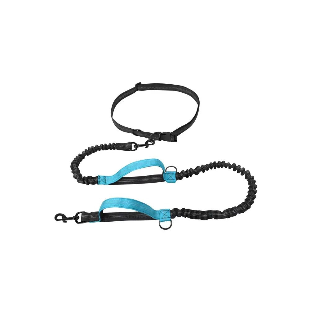 Amigo™ Jogging Leash