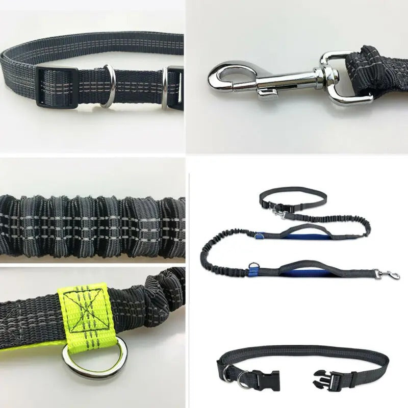 Amigo™ Jogging Leash