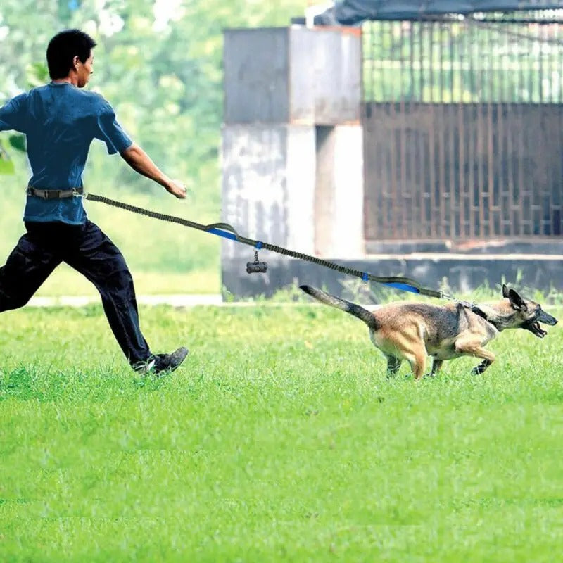 Amigo™ Jogging Leash