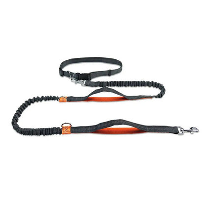 Amigo™ Jogging Leash