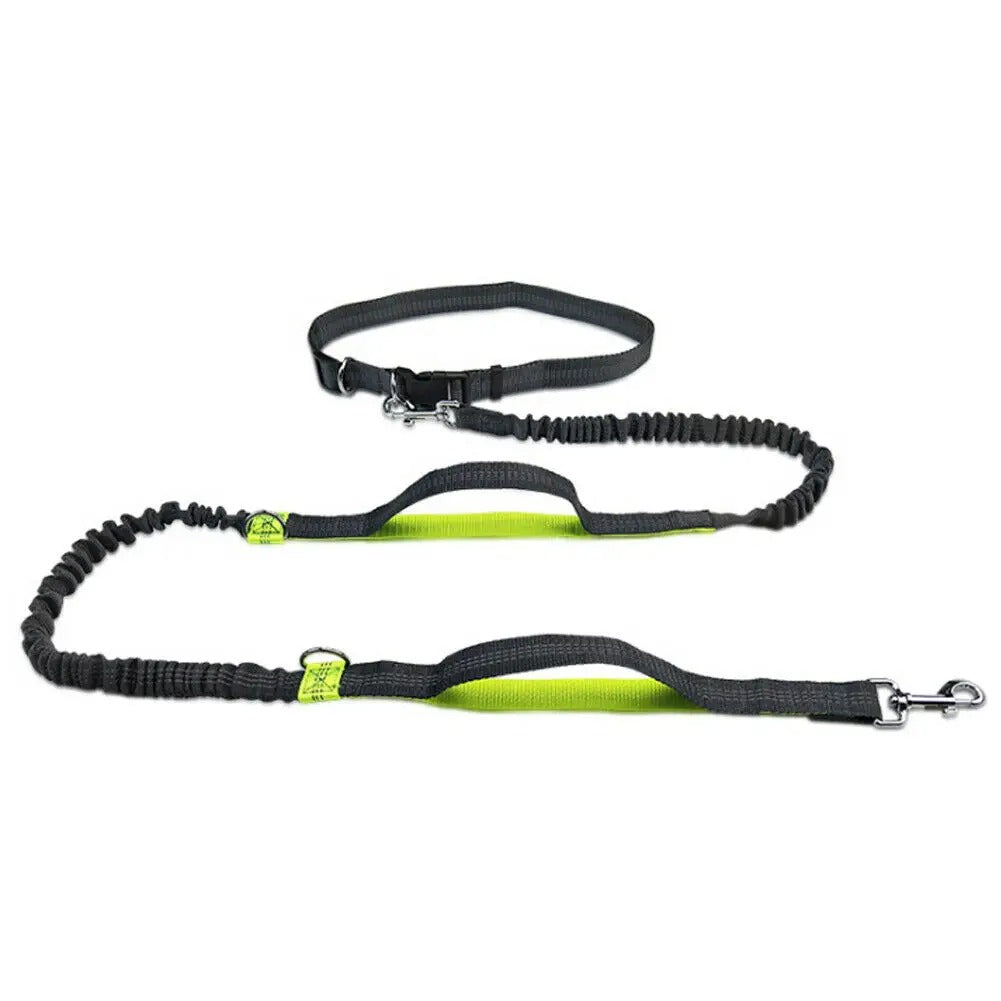 Amigo™ Jogging Leash